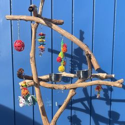 Simple And Parrot Loved ❤️all Natural Perch Stand …great For Training, Control Issues Or Minimal Mess !! 👍🏼👍🏼
