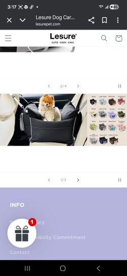Dog car seat /bag