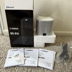 New WS-B1A portable Bluetooth speaker