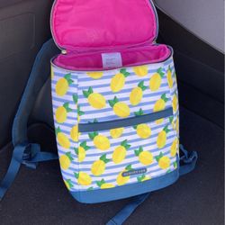 Dabney lee cooler backpack 2025