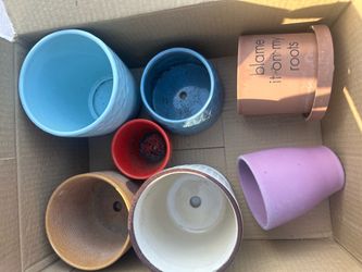 Succulent Plant Pots