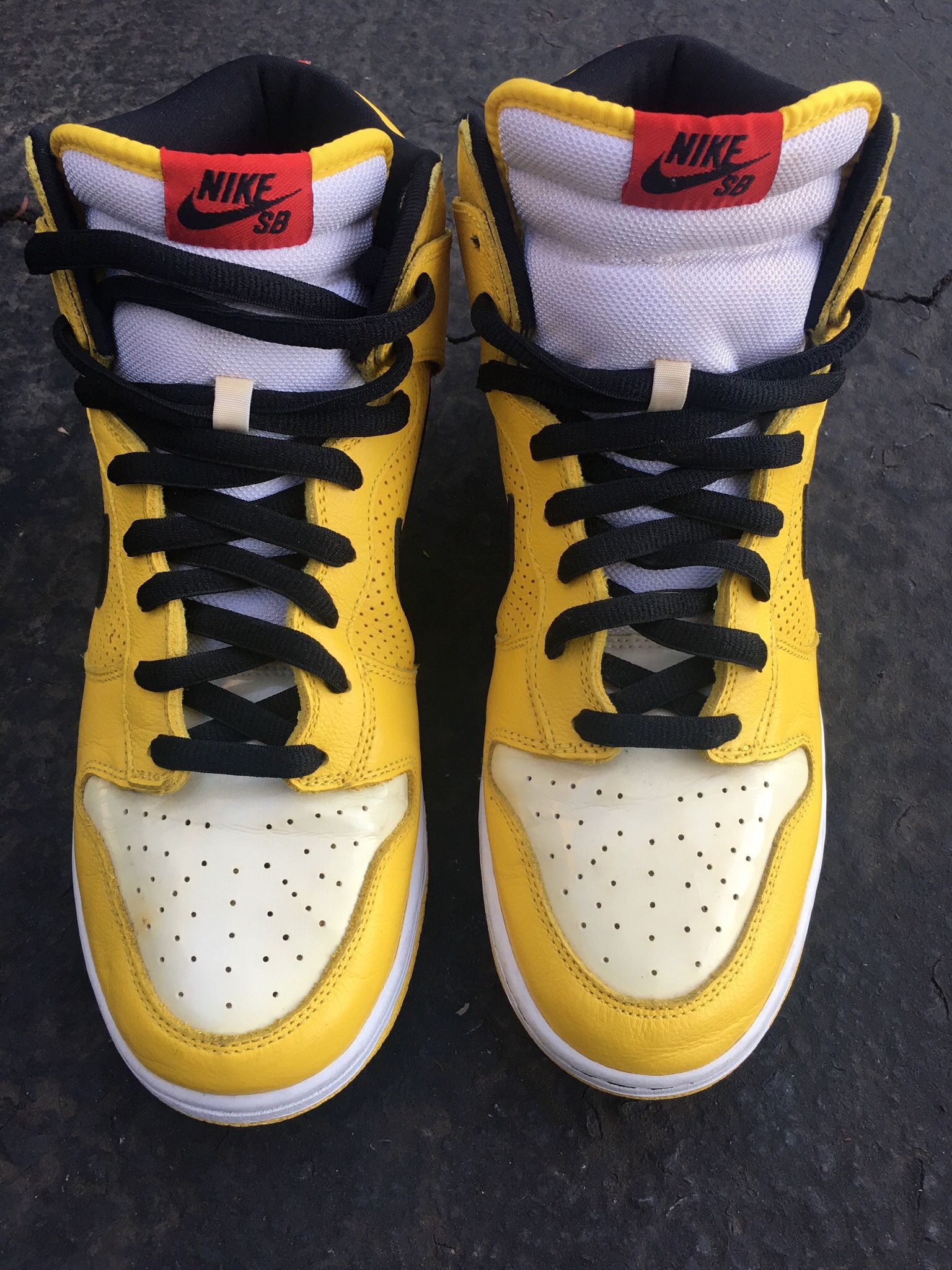 Nike Sb Dunk High Wet Floor Size 12