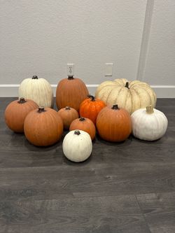 Faux Plastic Decorative Pumpkins