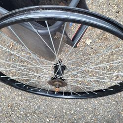 Single Speed rim with Ribbon