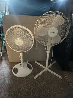 Oscillating Fans