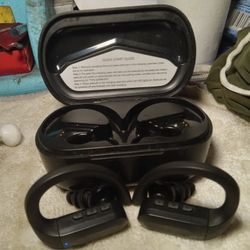 True Wireless Bluetooth Earbuds - $10
