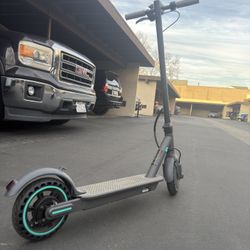 Adult Scooter 