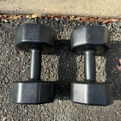 Pair of Series 8 Fitness 10-Pound Dumbbell With Octagon Ends