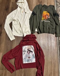 Bundle for $8 : hoodie, sweatshirt and cropped light hoodie