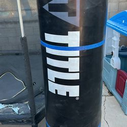 Punching Bag