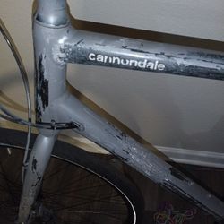 Cannondale Bike