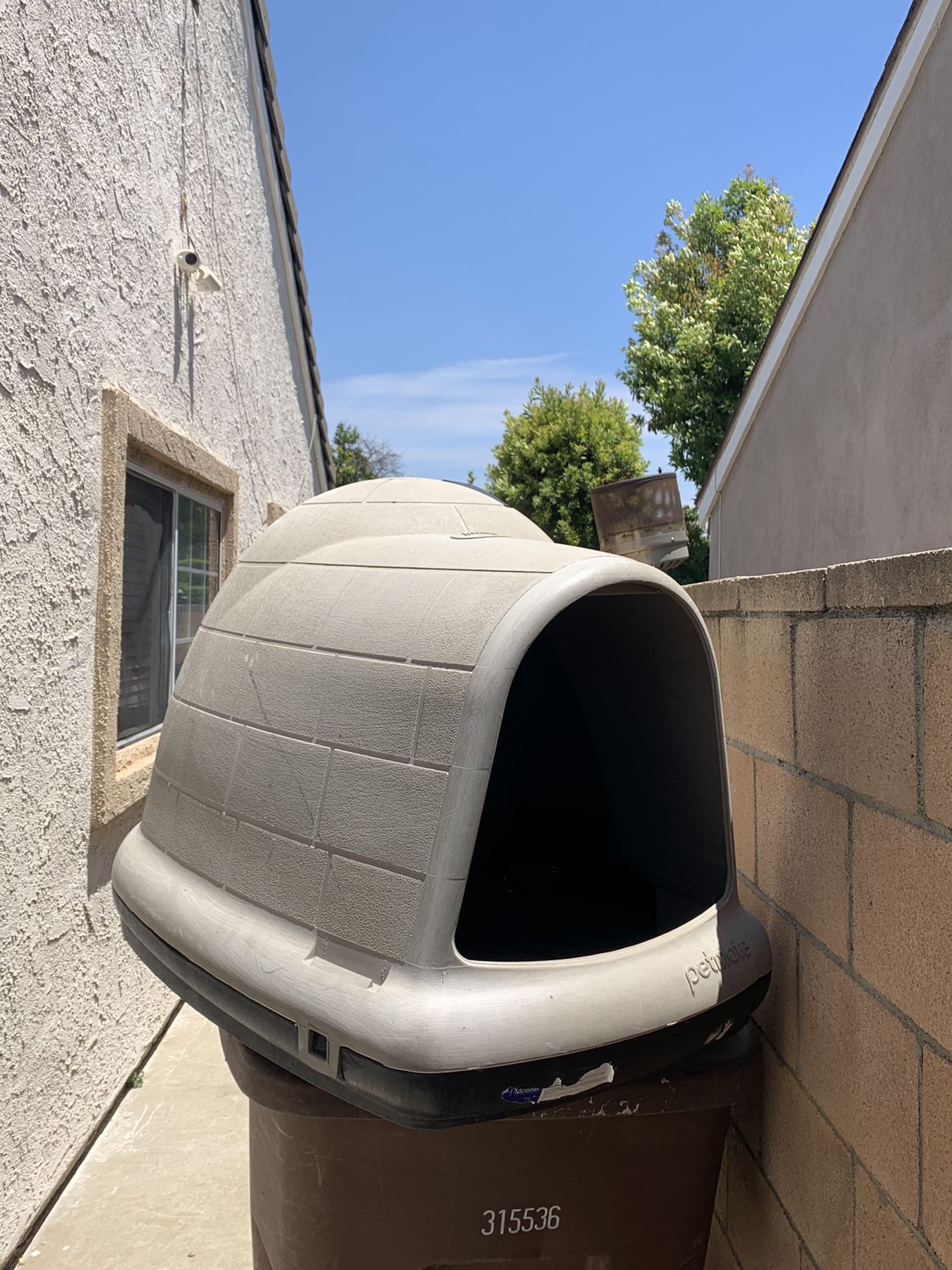 DOG IGLOO house