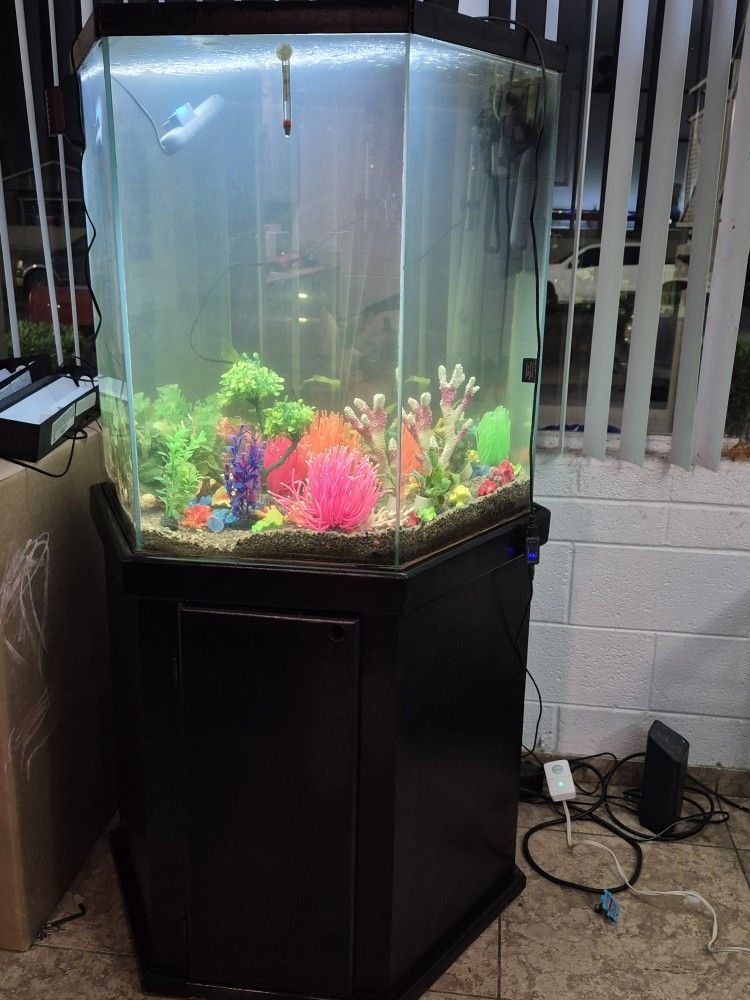 Fish Tank 90 Gallons