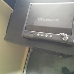 Sentry Safe