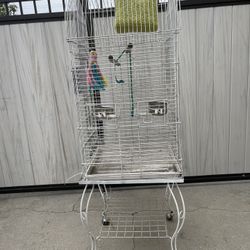 Bird Cage 