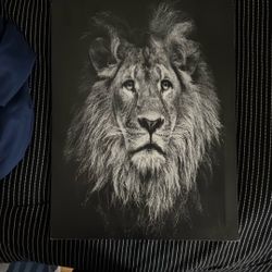 Lion Art Canvas
