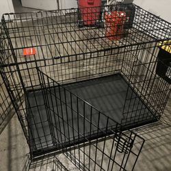 Dog Kennel 