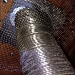 Rodents Inspection& Sealup Entry Points.