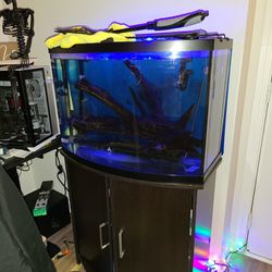 36 Gallon Bowfront Aquarium