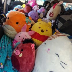 Squishmallows And Squishes 