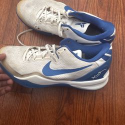Kobe 8 Pe Kentucky Men Size 10