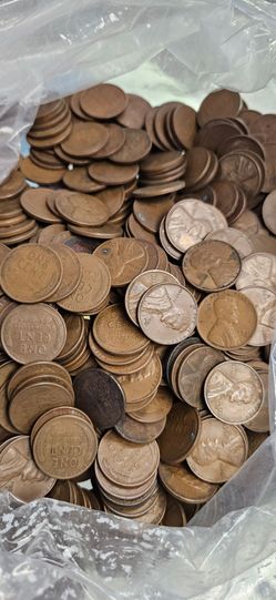 5.4 Pounds of Wheat Cents / Pennies - Unsearched!
