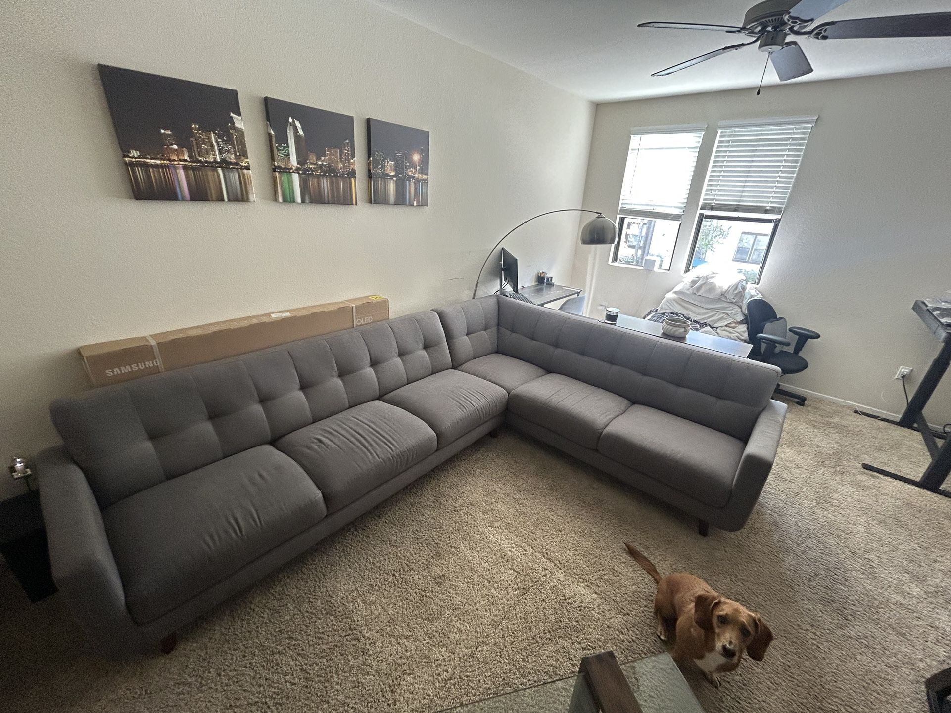 Sectional Couch