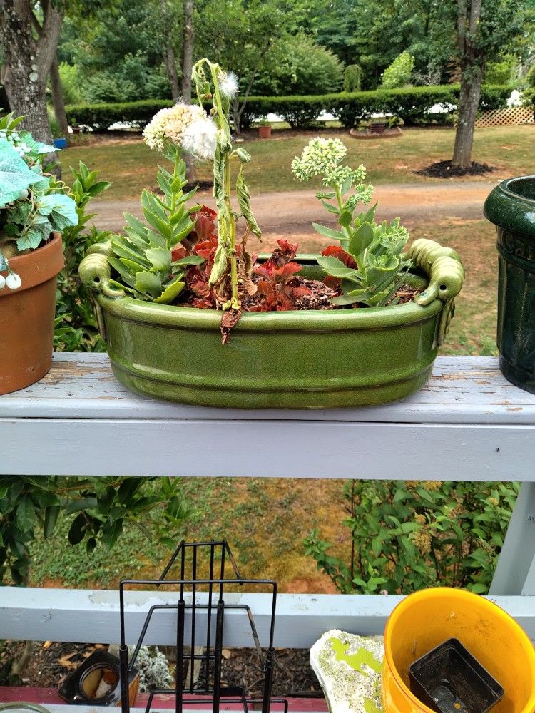 Flower Pots With Flowers