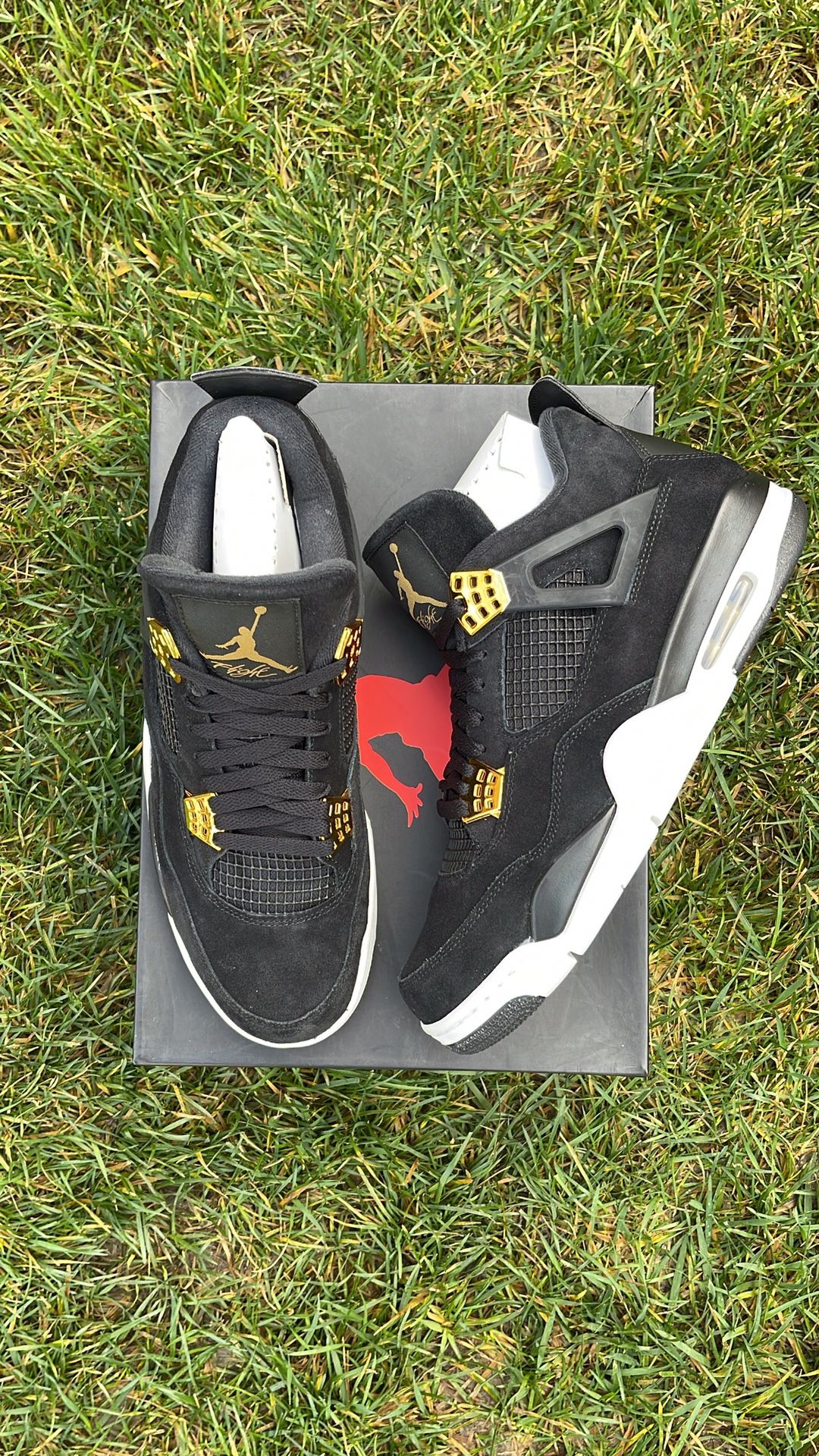 Nike Air Jordan 4s Royalty