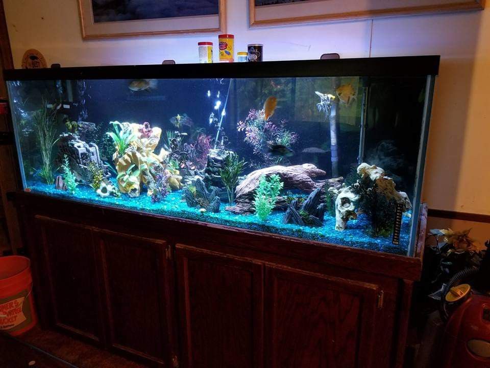 175 Gallon Fish Tank