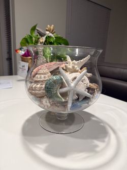 Vase with shells
