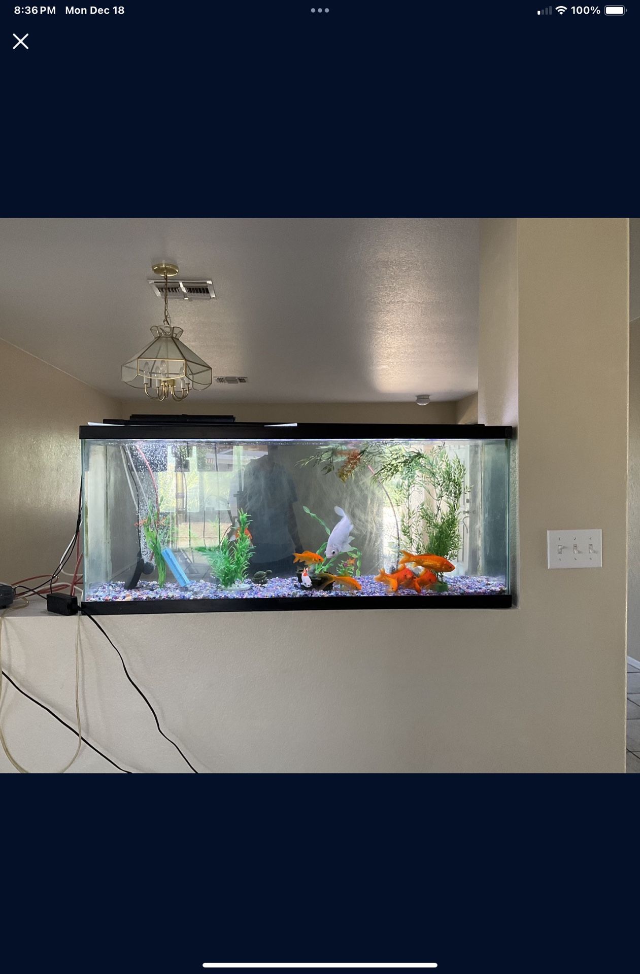 Fish Tank for Sale in Glendale, AZ OfferUp