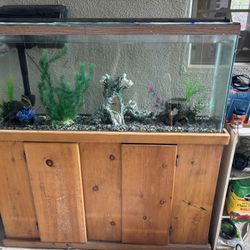 55 Gallon Aquarium With Stand