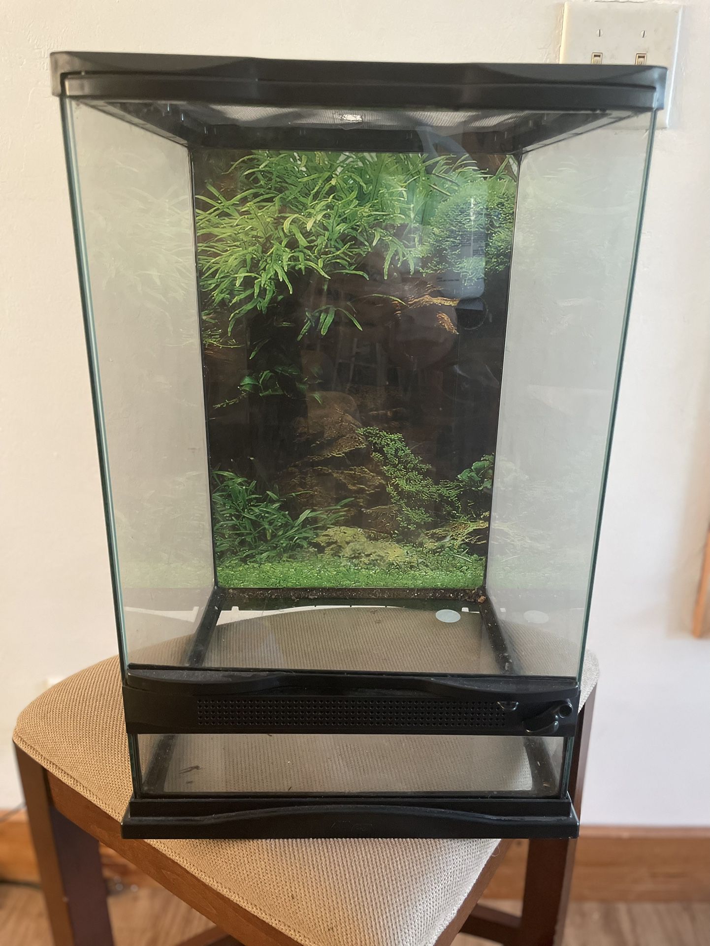 Glass Reptile Terrarium 