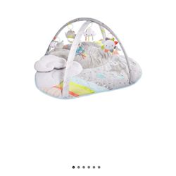 Infant Skip Hop Activity Mat