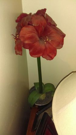 Decorative items