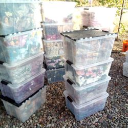 Party Supplies And Decorate 