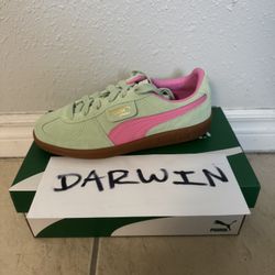 DS Puma Palermo