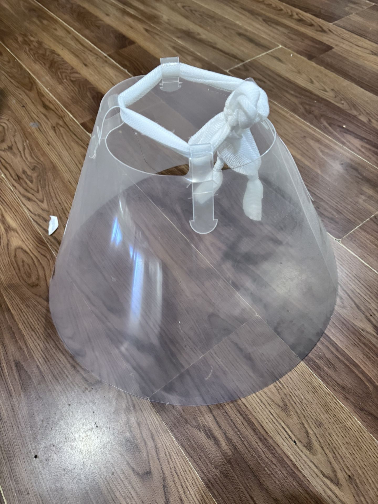 Dog Cone