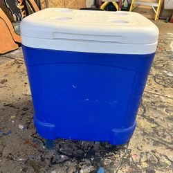 Igloo Cooler