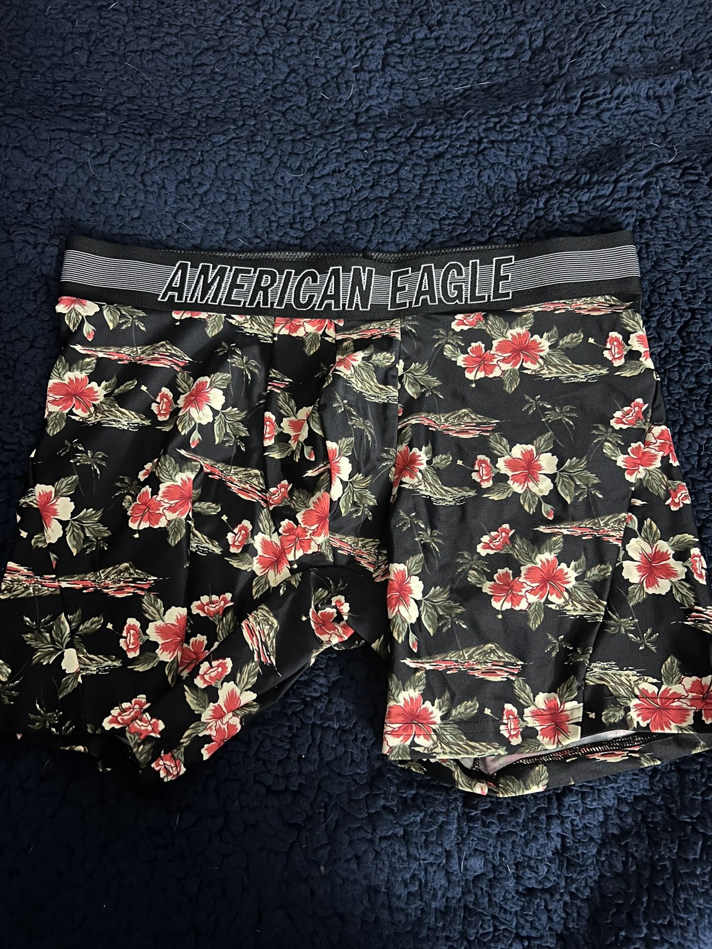 American Eagle Swundies