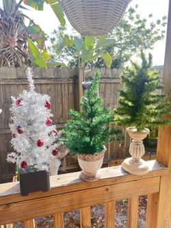 Small Trees $10 Each Or $40 For All