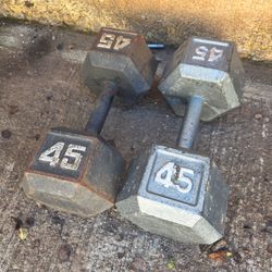 45lb hex dumbbells