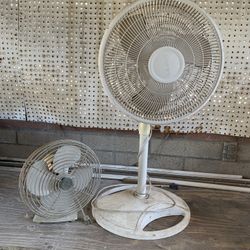 FREE FANS 