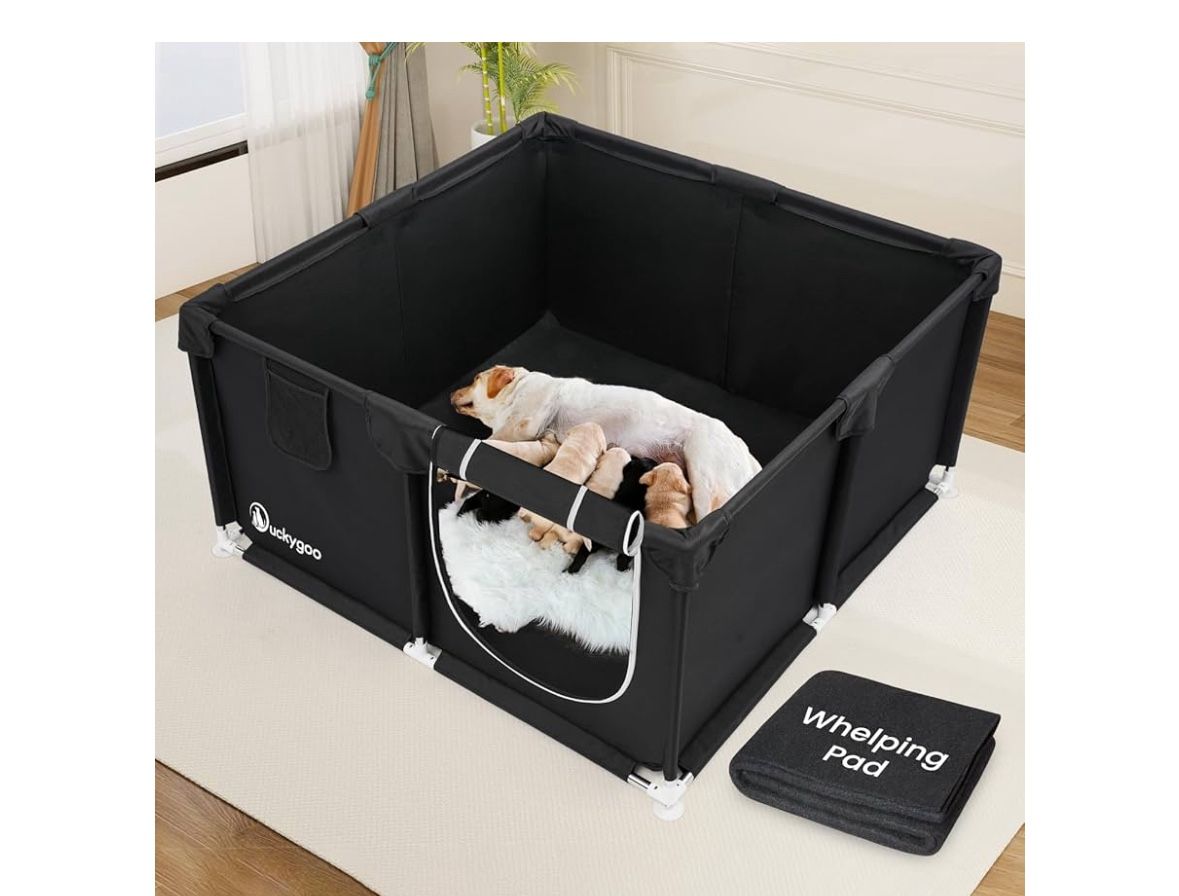 Whelping Box for dogs