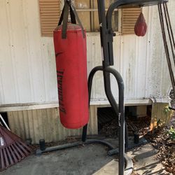 Everlast Punching Bag 