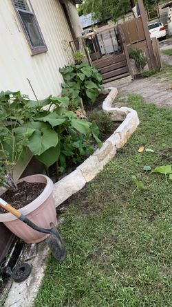 Cortamos Su Pasto Asemos Jardines Cortamos Árboles 🌳 