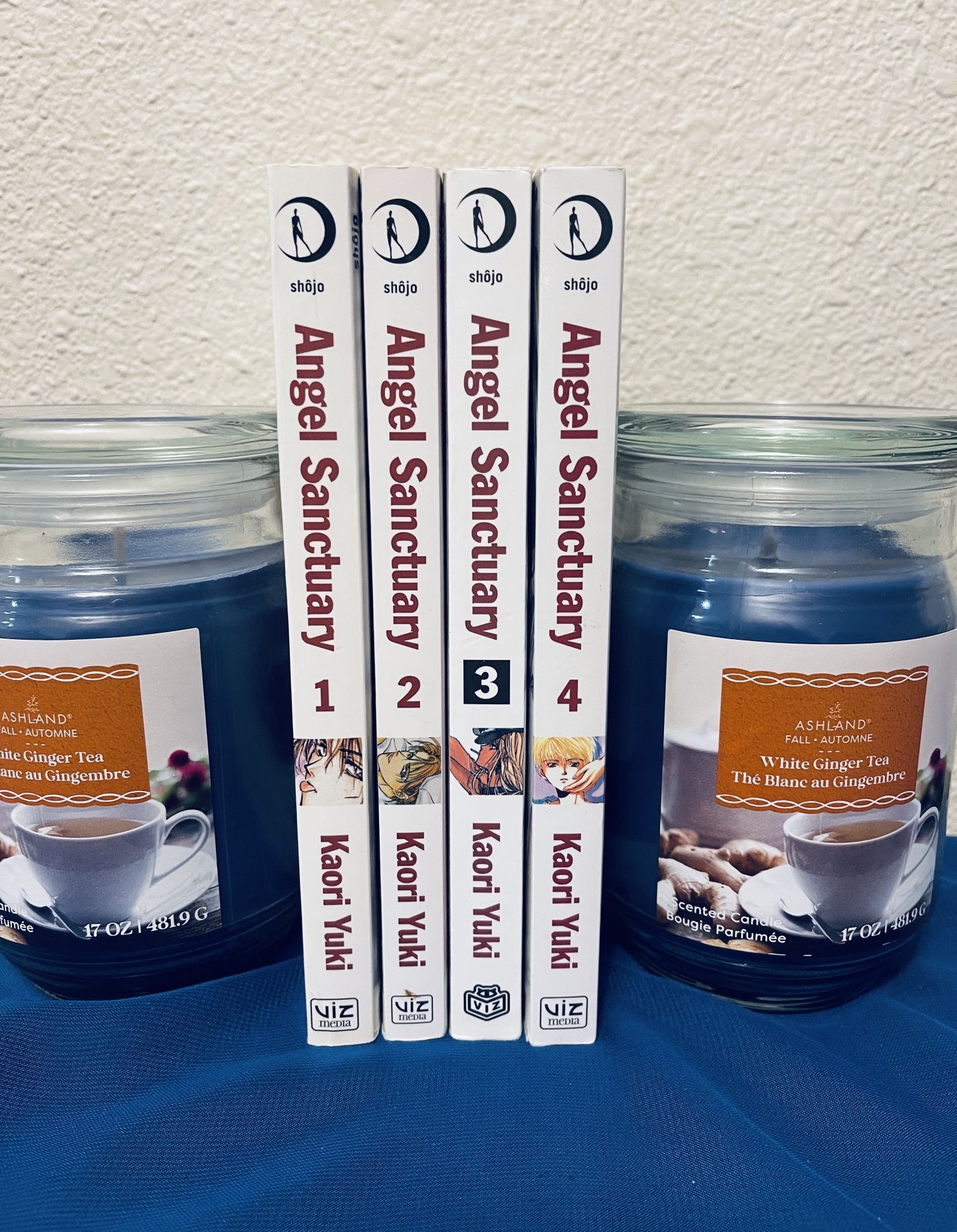 Official VIZ Media Manga: Angel Sanctuary Volumes 1-4