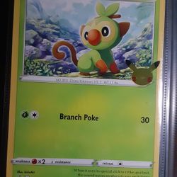 Jumbo Pokemon Card Lot