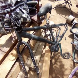 Wave Best Bicycle Surly Model